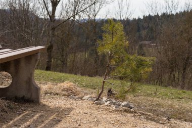 Yolculuk tutkusu altyapı banklar ve yürüyüş yolları Doğu tatil ilkbahar Güney Almanya kırsal kırsal kesimde detayları