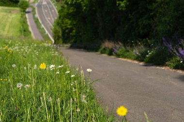 Bikeway yol güney Almanya alan bahar doğa ile yanındaki