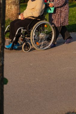 Güney Almanya bahar tarihi şehir güneşli açık parkta tekerlekli sandalye ile üst düzey çift akşam