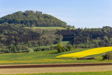 tecavüz alanlar ve acricultural acre manzara Güney Almanya'da bahar güneşli gün