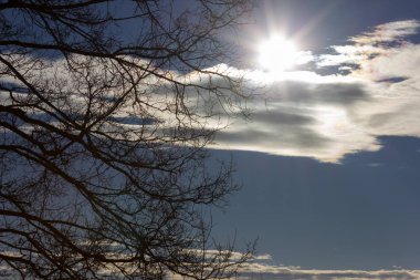 Aralık mavi gökyüzü ile ağaçlar ve Güney Almanya kırsal kırsal şehir Münih stuttgart yakınındaki Fırtına yaklaşırken önce bulutlar
