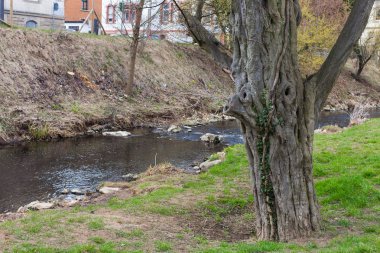 Şehir Parkı Doğu İlkbahar, Güney Almanya tatil zamanı simgesiyle ağaçlarda