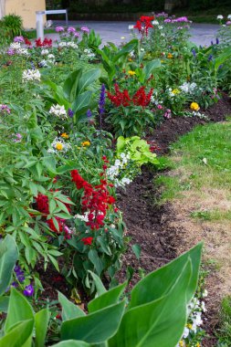 çiçekler bahar güneşli gün tarihi Alman Park