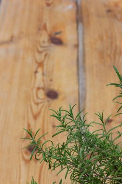 Güney Almanya tarihi şehirde arka plan bahçe salonu dekore