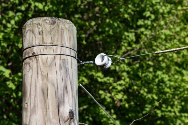 bahar güneşli gün çitte elektrik mera kırsal Güney Almanya güzel manzara