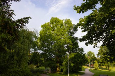 tarihi kent park ağaçlar ve çim ilkbahar Güney Almanya'da
