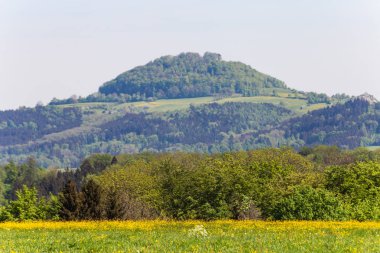 tecavüz alan ve Güney Alman mavi gökyüzü güneşli gün, Bahar çiçeği