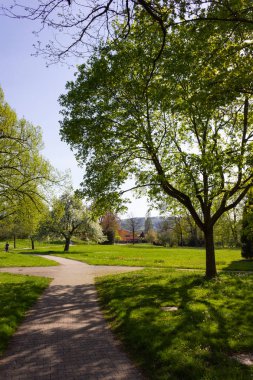 Park ağaçlar ve dalları ile yeşillik sprintime güneşli güney Almanya mutlu tarihi şehir ve sıcak Güney rüzgarları
