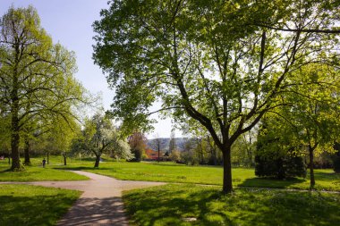 Park ağaçlar ve dalları ile yeşillik sprintime güneşli güney Almanya mutlu tarihi şehir ve sıcak Güney rüzgarları