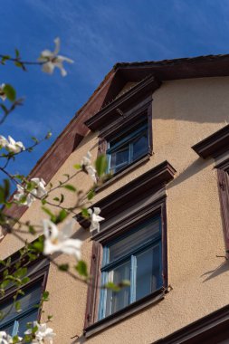 Bahar çiçeği şube Güney Almanya mutlu tatil rahatlatıcı tarihi şehir içinde şehir cepheler üzerinde ağacının sıcak güneşin tadını çıkarın