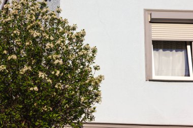 Güney Almanya tarihi Bulvarı'nda bahar güneşli gün, şehir cepheler