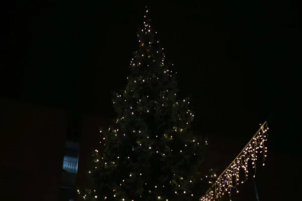 Noel Neon Işıkları Yıldızlar Noel Ağaçları Içinde Tarihi Kent Çarşı — Stok fotoğraf