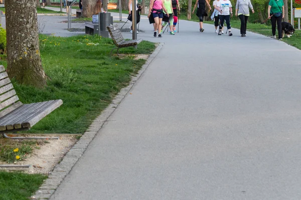 Nordic Caminar Grupo Feliz Damas Ejercicio Primavera Soleado Día Sourh — Foto de Stock