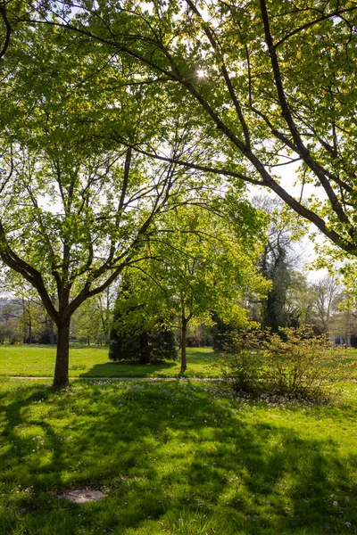 在德国南部的 Sprintime 阳光明媚的日子里 公园树木和树枝枝叶欢快的历史名城和温暖的南风 — 图库照片