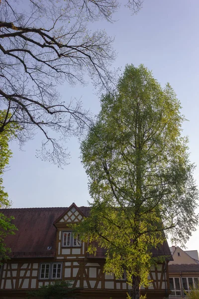 Fasady Miasta Historycznej Boulevard Wiosenny Dzień Słońca Południowych Niemczech — Zdjęcie stockowe