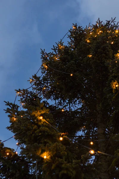 Adornos Navidad Mercado Navidad Advenimiento Alemania Diciembre Noche Invierno — Foto de Stock