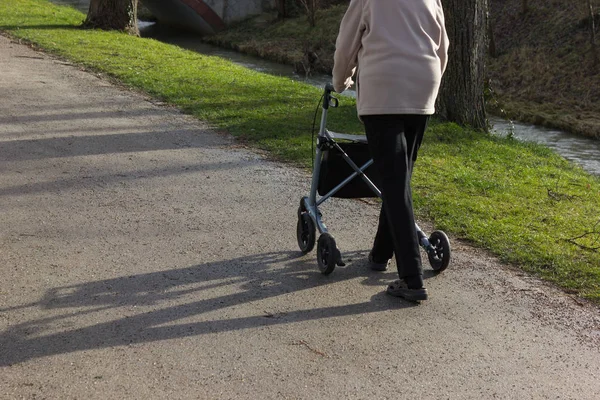 Senhora Sênior Com Rollator Inverno Ensolarado Janeiro Tarde Parque Histórico — Fotografia de Stock