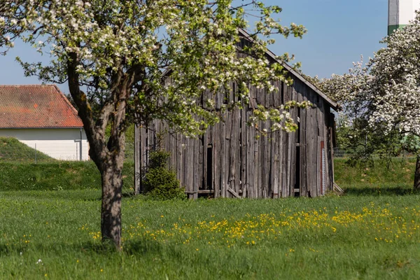 Stare Drewniane Chaty Południowych Niemczech Wiosenny Niebieski Niebo Sunny Holiday — Zdjęcie stockowe