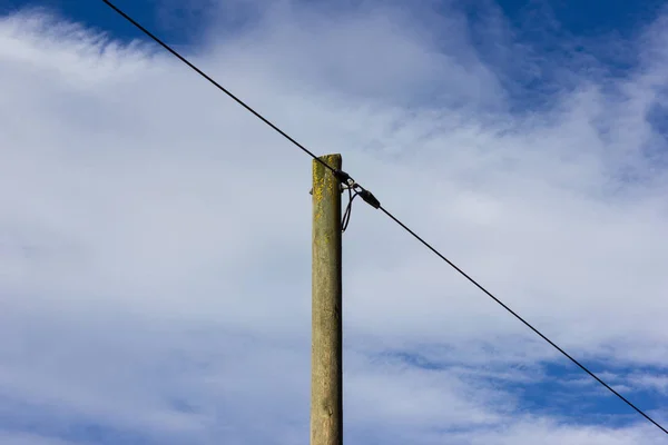 Powerpole Dezembro Céu Azul Sul Alemanha Inverno Perto Cidade Munique — Fotografia de Stock