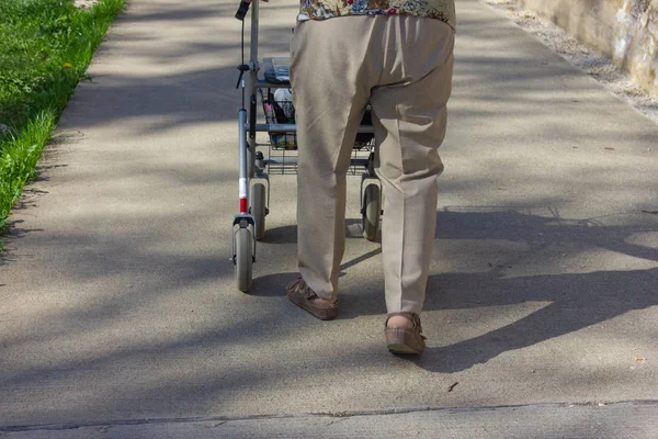 Äldre Dam Med Rollator Springtime Lycklig Eftermiddag Södra Tyskland Riverside — Stockfoto