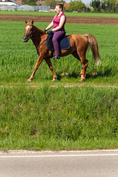 ドイツの田舎の春で馬に乗る女性 — ストック写真