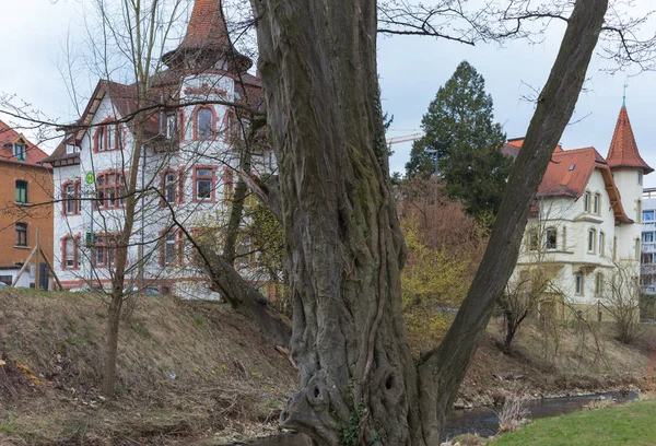 树木在城市公园在东部春天与标志在德国南部假日时间 — 图库照片