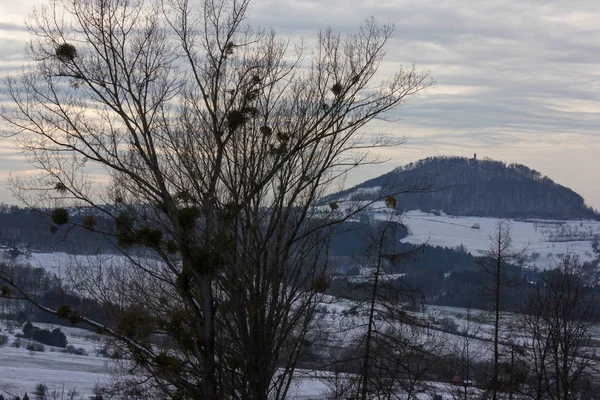Paesaggio Invernale Con Nuvole Vento Tempestoso Dall Europa Orientale Russia — Foto Stock