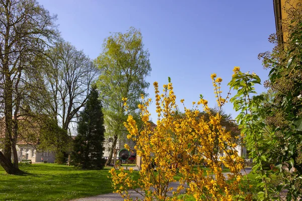 Barevné Květy Parktrees Jarní Modré Nebe Jižní Německo Dovolená Štěstí — Stock fotografie