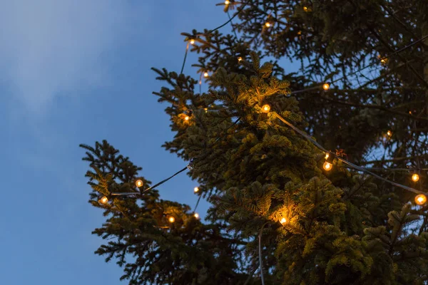 Décorations Noël Sur Marché Noël Avent Allemagne Soirée Hiver Décembre — Photo