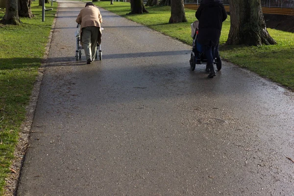 Senior Lady Rollator Sunny Winter January Afternoon Historical City Park — Stock Photo, Image