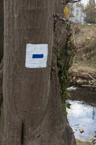 Drzewa Parku Miejskim Wschodniej Wiosenny Symbolem Południowych Niemczech Czas Wakacji — Zdjęcie stockowe