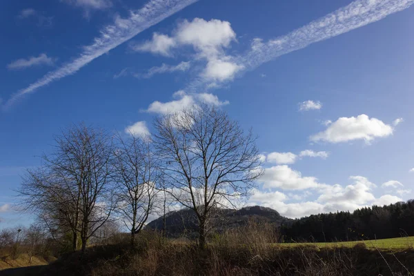 Landschaft Mit Baum Blauen Himmel Dezember Advent Sonniger Tag Süddeutschland — Stockfoto