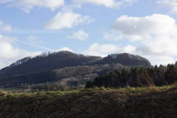 Landscape Tree Blue Sky December Advent Sunny Day South Germany — Stock Photo, Image