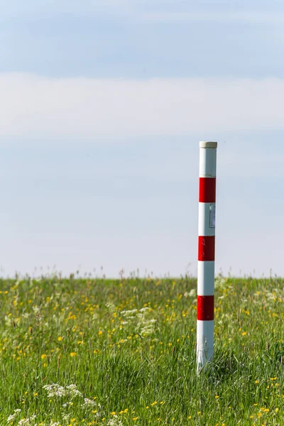 Czerwony Biały Polak Wiosna Łąka Błękitne Niebo Dzień Południowych Niemczech — Zdjęcie stockowe