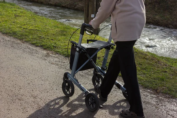 Äldre Dam Med Rollator Soliga Vintern Januari Eftermiddag Historiska Stadsparken — Stockfoto