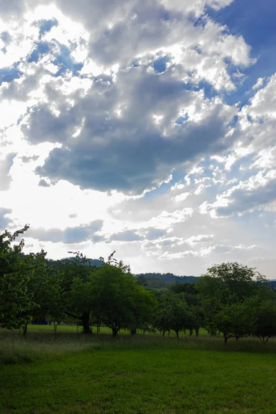 Paisagem Primavera Campos Verdes Com Céu Azul Nuvens Uma Montanha — Fotografia de Stock