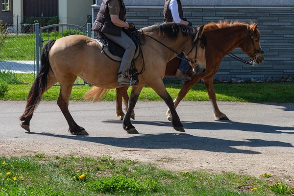 日当たりの良い春の休日に乗馬のカップル — ストック写真