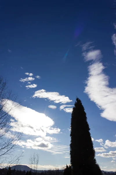 Diciembre Cielo Azul Con Árboles Nubes Antes Acercarse Tormenta Sur — Foto de Stock