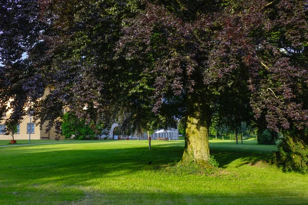 Histórico Parque Cidade Árvores Gramado Primavera Alemanha Sul — Fotografia de Stock