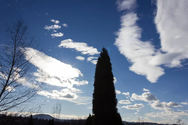 Dezembro Céu Azul Com Árvores Nuvens Antes Aproximar Tempestade Sul — Fotografia de Stock