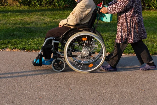 资深夫妇与轮椅在户外公园在德国南部春天历史城市阳光明媚的晚上 — 图库照片