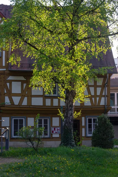 Fachadas Ciudad Bulevar Histórico Primavera Sol Día Sur Alemania — Foto de Stock