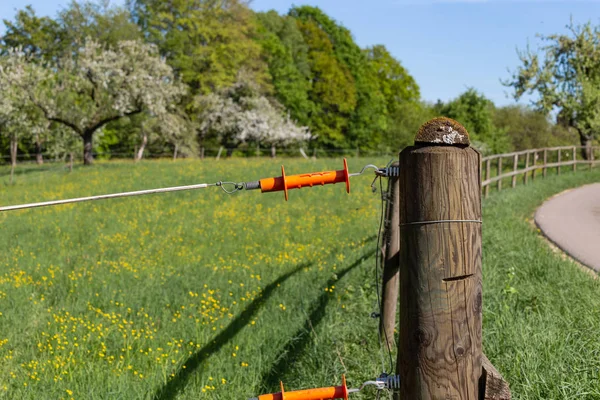 Recinzione Pascolo Elettrico Primavera Giornata Sole Nella Campagna Della Germania — Foto Stock