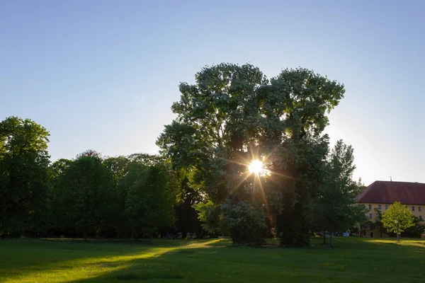 Rayos Sol Parque Ciudad Tarde Primavera Puesta Sol Zona Histórica — Foto de Stock