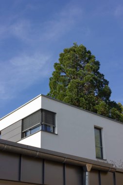 modern evler cepheler sonbahar güneş günü, Güney Almanya küçük kasabasında