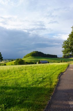 gökyüzü bulutlar ve yeşil çim ve ağaçların güneş ışınları, Allgau Güney Bavyera yatay