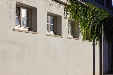 parlak bir şehir üzerinde yeşil sarmaşık duvar Güney Almanya alan schwaebisch gmuend içinde gün ışığı bir akşam