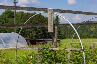 allgaeu Güney Almanya Bavyera kırsal lake bodensee ve şehir Lindau yakınındaki yazlık vintage bahçe ayrıntıları