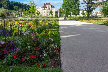 Şehir Parkı çiçek açan çiçekler, Güney Almanya şehir schwaebisch gmuend ilkbaharda, yeşil çim