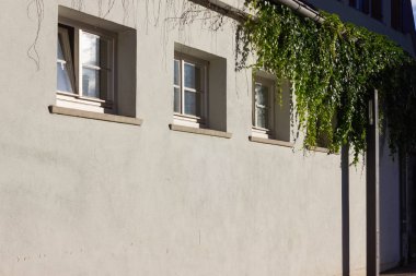 parlak bir şehir üzerinde yeşil sarmaşık duvar Güney Almanya alan schwaebisch gmuend içinde gün ışığı bir akşam